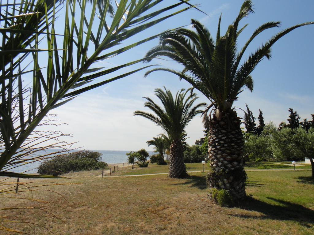 Afroditi Beach Геракини Экстерьер фото